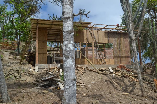 Bamboo walls going up